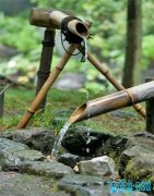 日本庭园传统技法——逐鹿
