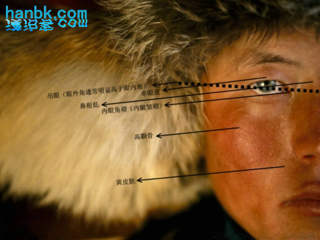 从认识脸蛋开始——蒙古人种