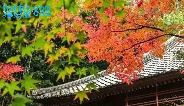 日本京都,洛阳