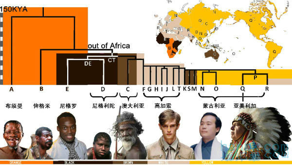 黑人并非一个种族，且各种族之间的差异非常大！